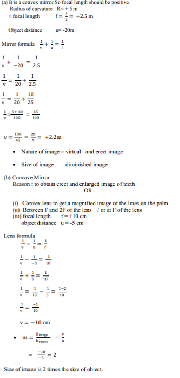ncert solution 10th science 31-3-1 question 30